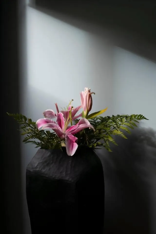 Maison Et Studio Lorangerie ローマ イタリア